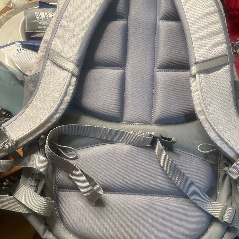 The North Face Light Gray Women's Backpack - Picture 3 of 13